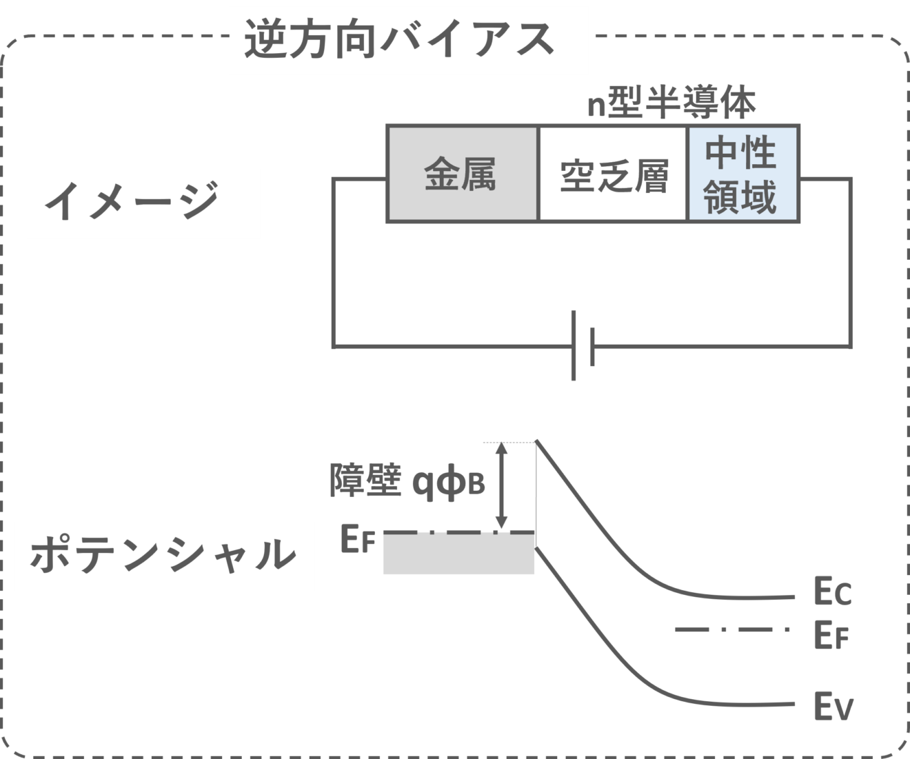 【半導体工学】金属半導体接触とは (ショットキー接触・オーミック接触) enggy